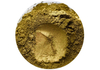 Rich Pale Gold Bronze Pigment Powder
